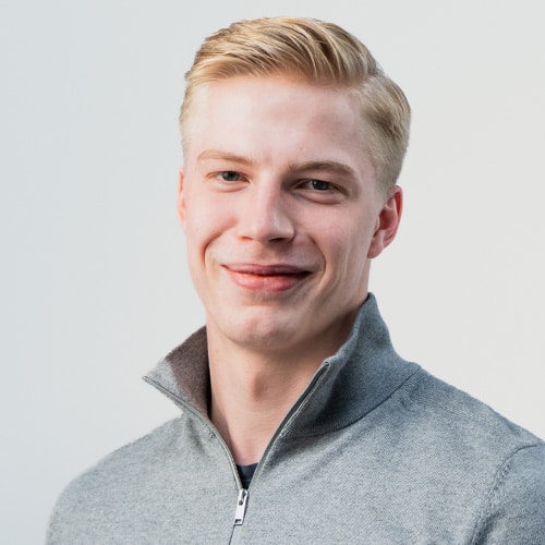 stan jansen portret